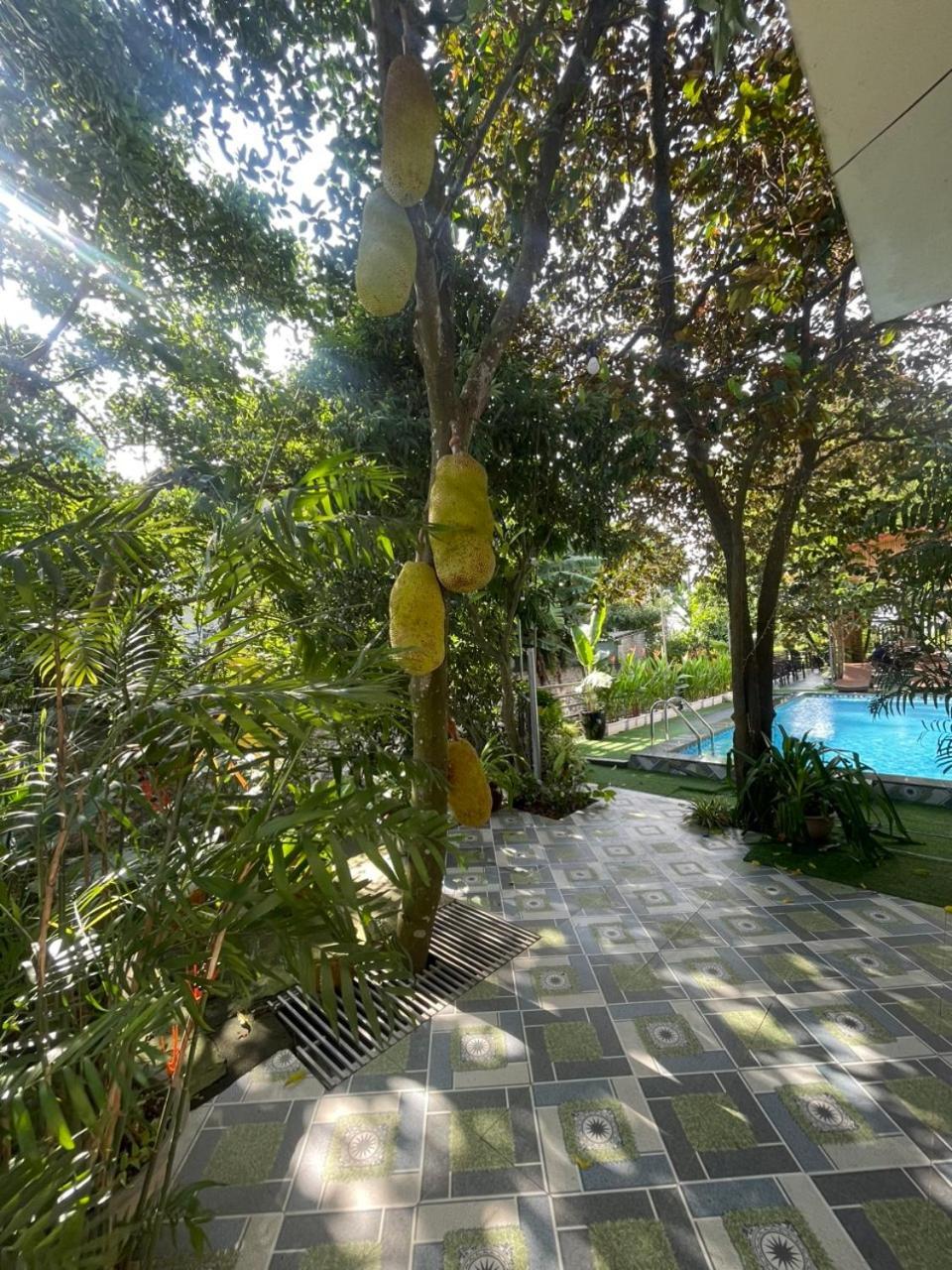 Tam Coc Relax Homestay Ninh Binh Zewnętrze zdjęcie