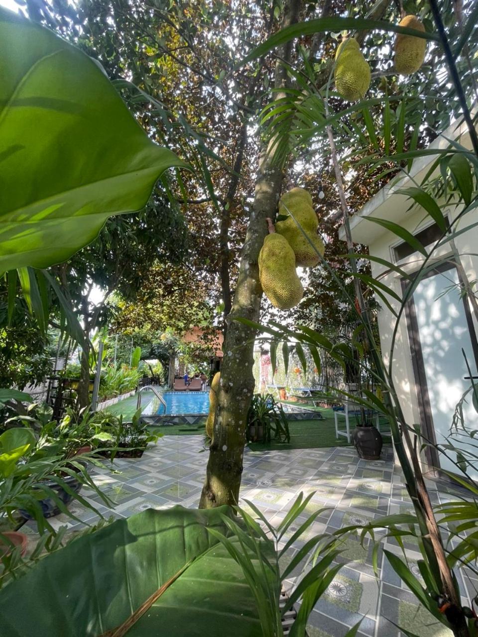 Tam Coc Relax Homestay Ninh Binh Zewnętrze zdjęcie